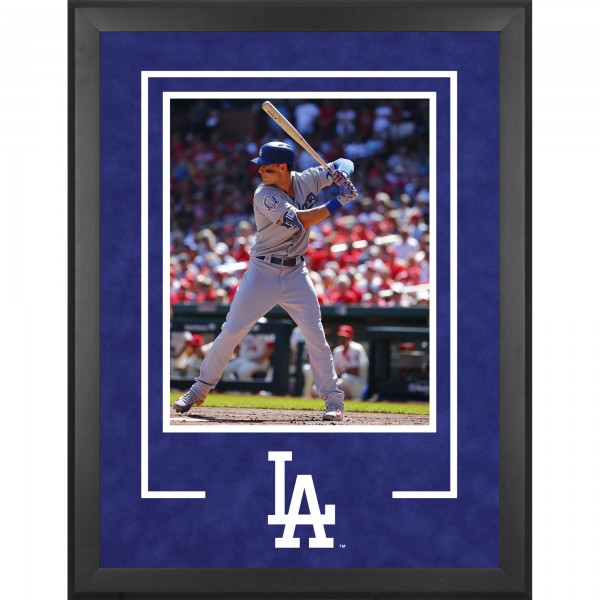 Los Angeles Dodgers Fanatics Authentic 16 x 20 Deluxe Vertical Photograph Frame