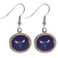 Charlotte Hornets WinCraft Womens Round Dangle Earrings