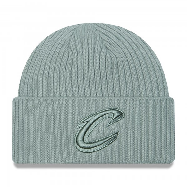 Шапка Cleveland Cavaliers New Era Color Pack Cuffed Knit - Sage