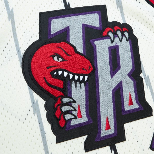 Игровая форма  Vince Carter Toronto Raptors Mitchell & Ness Chainstitch Swingman - Cream