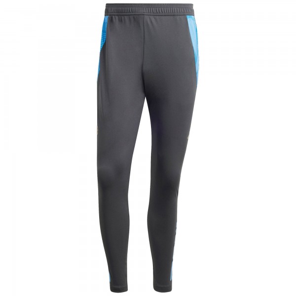 Argentina National Team adidas 2024 AEROREADY Training Pants - Gray