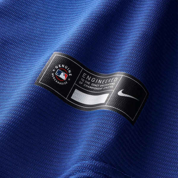 Джерси France National Team x MLB Nike Stadium Replica - Blue