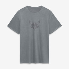 Футболка Charlotte Hornets Fanatics Gray Beach Wash