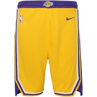 Шорты Los Angeles Lakers Nike Youth Icon Edition Mesh Performance Swingman - Gold