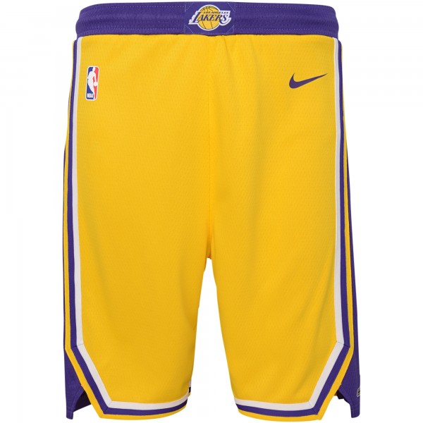 Шорты Los Angeles Lakers Nike Youth Icon Edition Mesh Performance Swingman - Gold