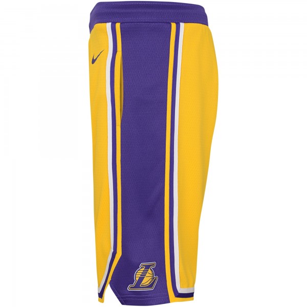 Шорты Los Angeles Lakers Nike Youth Icon Edition Mesh Performance Swingman - Gold