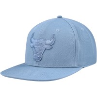 Бейсболка Chicago Bulls Pro Standard Tonal - Blue