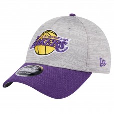 Бейсболка Los Angeles Lakers New Era Active Digi-Tech Two-Tone 9FORTY - Heather Gray/Purple