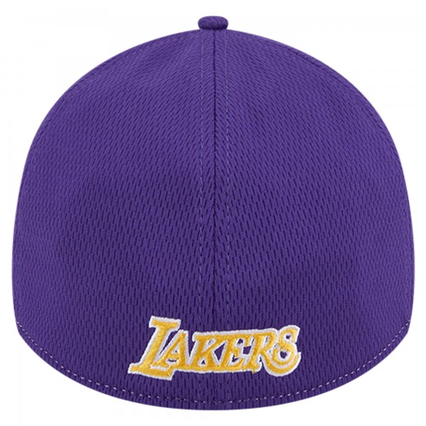 Бейсболка Los Angeles Lakers New Era Two-Tone 39THIRTY- Heather Gray/Purple