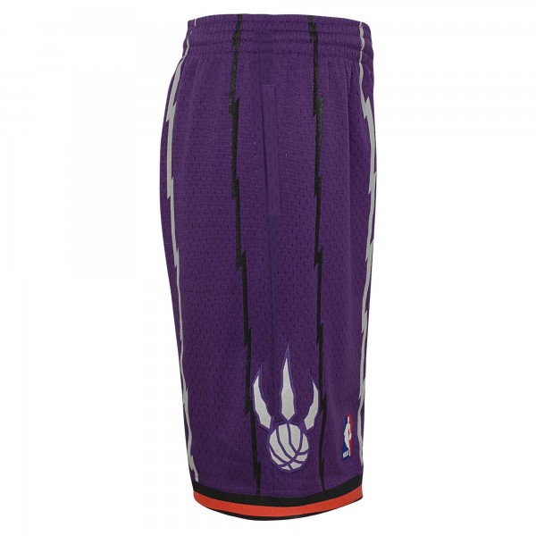Шорты Toronto Raptors Mitchell & Ness Youth Hardwood Classics Swingman - Purple