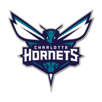 Charlotte Hornets WinCraft Primary Logo Collector Pin