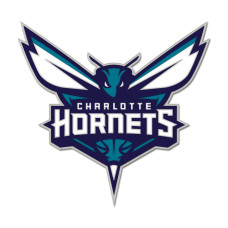 Charlotte Hornets WinCraft Primary Logo Collector Pin