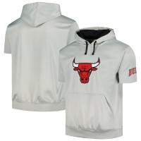 Футболка с капюшоном Chicago Bulls - Silver/Black