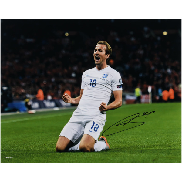 Фото с автографом Harry Kane England National Team Fanatics Authentic 16 x 20 Goal Celebration