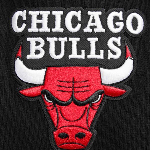 Толстовка Chicago Bulls Pro Standard Script Tail - Black