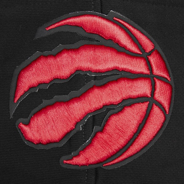 Toronto Raptors Pro Standard Black Script Tail Pullover Hoodie