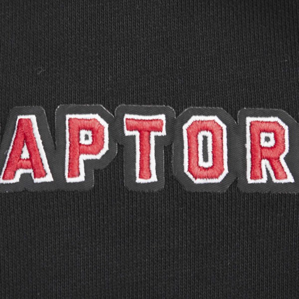 Toronto Raptors Pro Standard Black Script Tail Pullover Hoodie