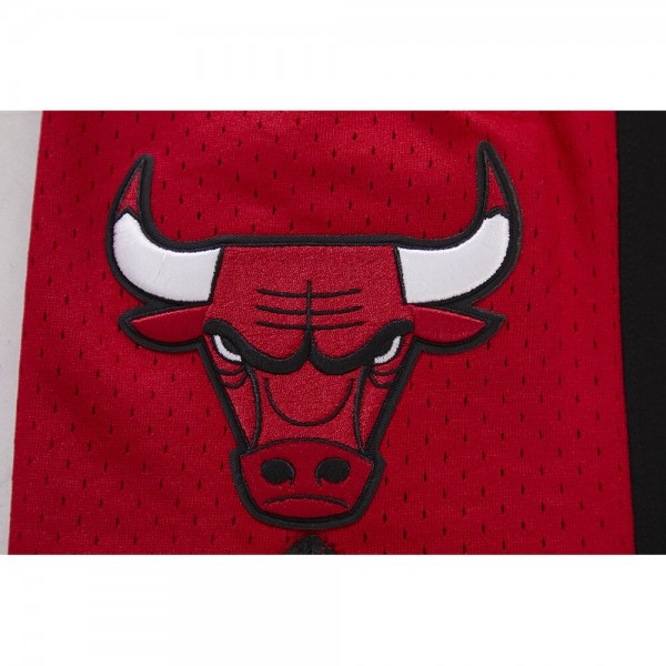 Шорты Chicago Bulls Pro Standard 2023/24 City Edition DK - Black