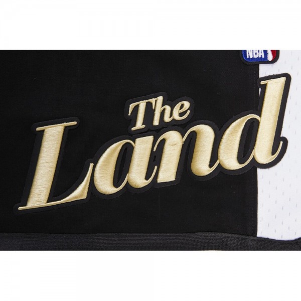Шорты Cleveland Cavaliers Pro Standard 2023/24 City Edition DK - Black