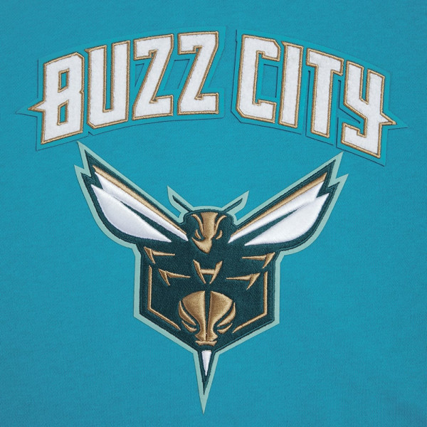 Женская толстовка Charlotte Hornets Pro Standard Teal 2023/24 City Edition Cropped