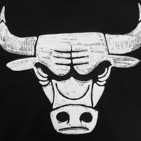 Футболка Chicago Bulls Pro Standard - Black