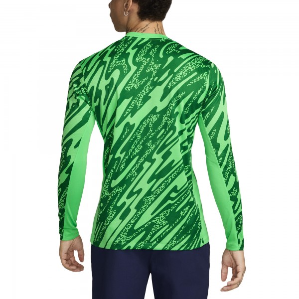 Игровая джерси Paris Saint-Germain Nike 2024/25 Goalkeeper Replica Stadium Long Sleeve - Green