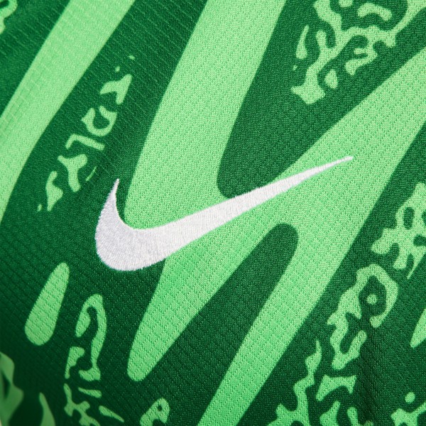 Игровая джерси Paris Saint-Germain Nike 2024/25 Goalkeeper Replica Stadium Long Sleeve - Green