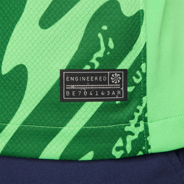 Игровая джерси Paris Saint-Germain Nike 2024/25 Goalkeeper Replica Stadium Long Sleeve - Green