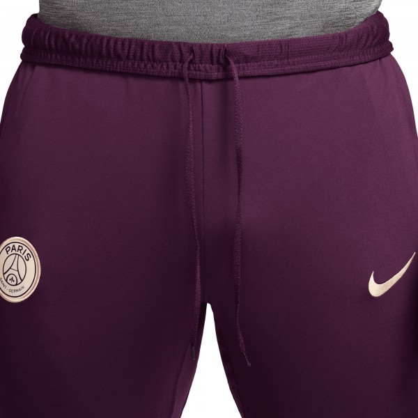 Штаны Paris Saint-Germain Nike 2024/25 Strike Performance - Burgundy