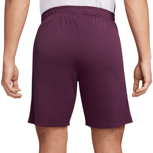 Шорты Paris Saint-Germain Nike 2024/25 Strike - Burgundy