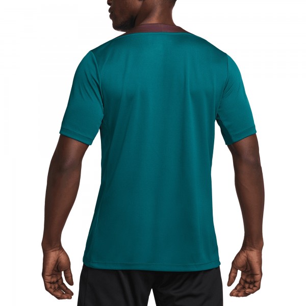 Футболка Paris Saint-Germain Nike 2024/25 Strike Performance - Teal