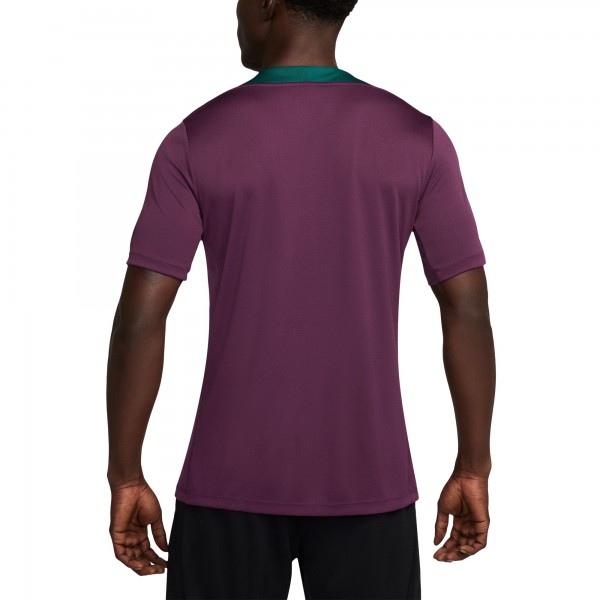 Футболка Paris Saint-Germain Nike 2024/25 Strike Performance - Burgundy