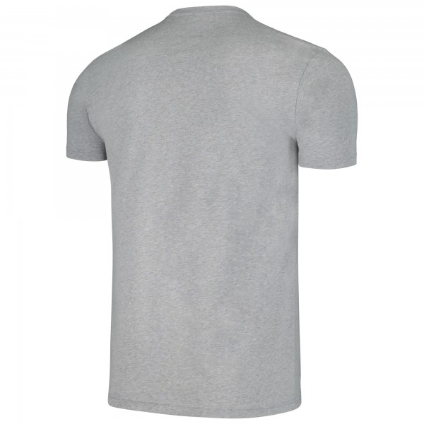 Футболка Toronto Raptors Mitchell & Ness Unisex Hardwood Classics MVP Throwback Logo - Gray