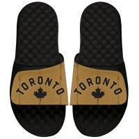 Шлепки Toronto Raptors ISlide 2023/24 City Edition