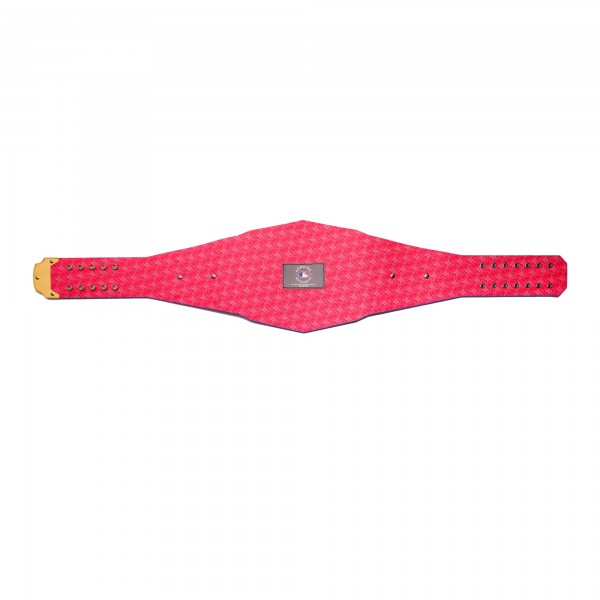 Los Angeles Dodgers WWE Legacy Title Belt