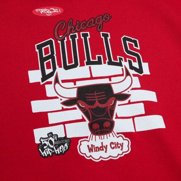 Толстовка Chicago Bulls Mitchell & Ness x Tats Cru Hardwood Classics Brick - Red