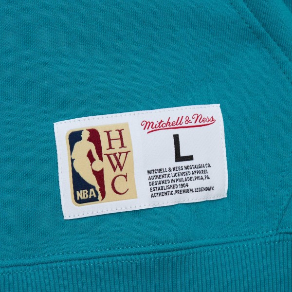 Толстовка Charlotte Hornets Mitchell & Ness Hardwood Classics Tonal - Teal