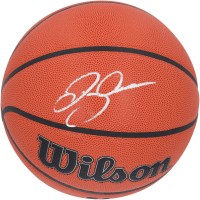 Мяч Ray Allen Boston Celtics Autographed Fanatics Authentic Wilson Authentic Series Indoor/Outdoor