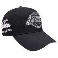 Бейсболка Los Angeles Lakers Pro Standard Paint the City Pinch Front - Black