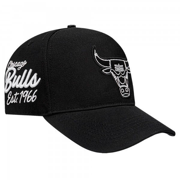 Бейсболка Chicago Bulls Pro Standard Paint the City Pinch Front - Black
