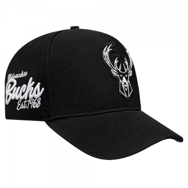 Бейсболка Milwaukee Bucks Pro Standard Black Paint the City Pinch Front