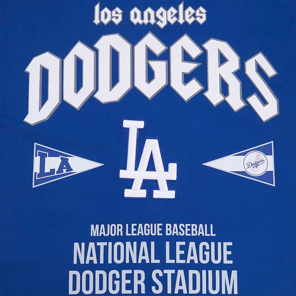 Los Angeles Dodgers Pro Standard Royal Oversized City Tour T-Shirt