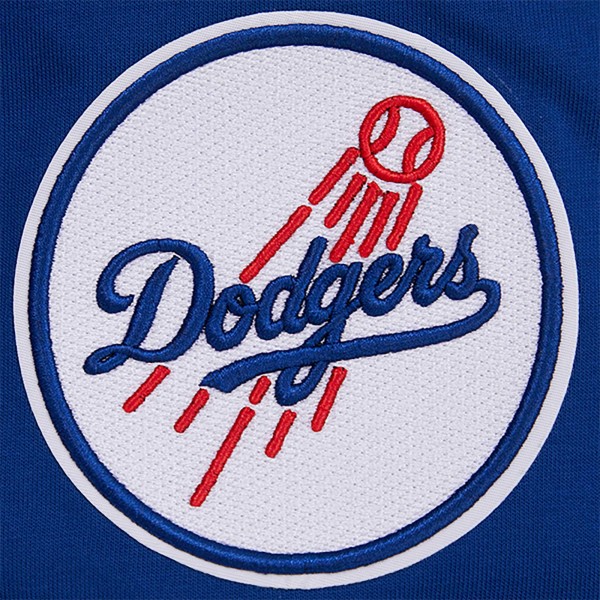 Los Angeles Dodgers Pro Standard Royal Oversized City Tour T-Shirt