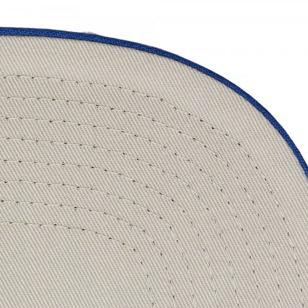 Los Angeles Dodgers Mitchell & Ness Royal Team Tagged Snapback Hat