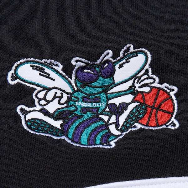 Толстовка Charlotte Hornets Mitchell & Ness Head Coach - Teal/Black