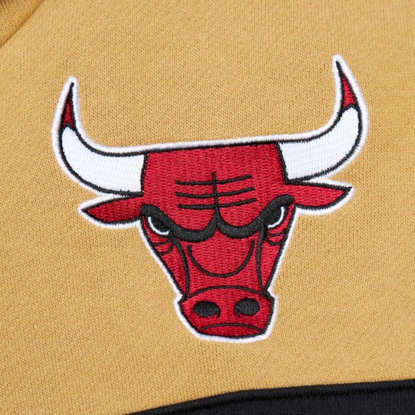 Толстовка Chicago Bulls Mitchell & Ness Head Coach - Red/Gold