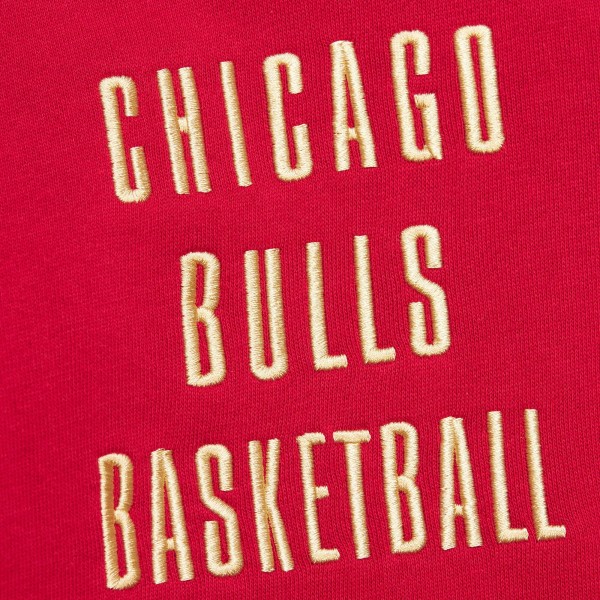 Толстовка Chicago Bulls Mitchell & Ness  Team OG 2.0 Vintage Logo Fleece - Red