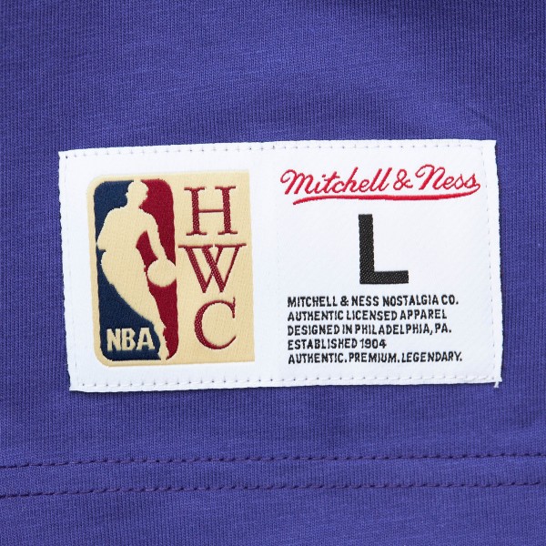 Футболка Milwaukee Bucks Mitchell & Ness Hardwood Classics Team OG 2.0 Premium Vintage Logo - Purple
