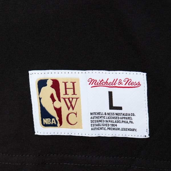 Футболка San Antonio Spurs Mitchell & Ness Hardwood Classics Team OG 2.0 Premium Vintage Logo - Black