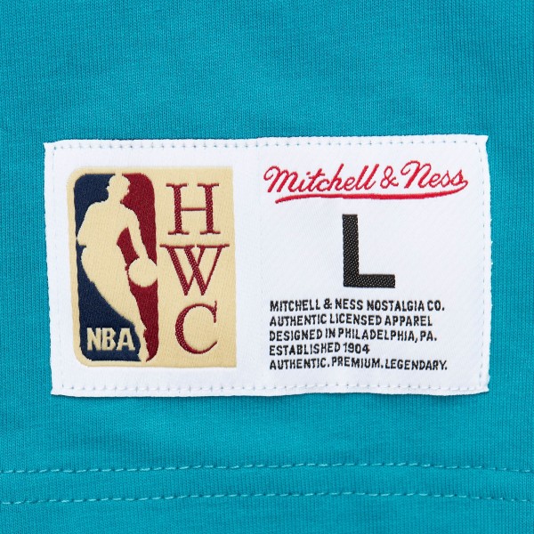 Футболка Charlotte Hornets Mitchell & Ness Hardwood Classics Team OG 2.0 Premium Vintage Logo - Teal